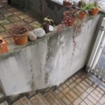 カビや藻が発生している