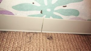 洗面所　壁と床の境目に砂がでている
