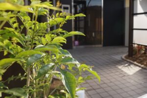 エントランスは最初に人が入る場所、建物の顔になる場所です。 ポールや外灯、植栽、郵便ポストなど雰囲気を感じる大切な空間ですね。