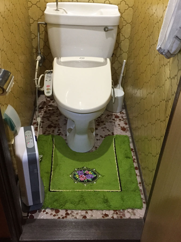 古いトイレで汚れが気になる。詰まりやすく流れが悪い。出入り口に段差があり解消したい。